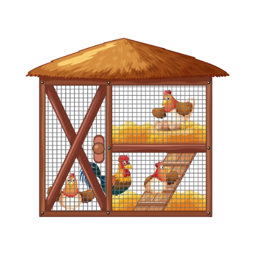 Chicken Coop