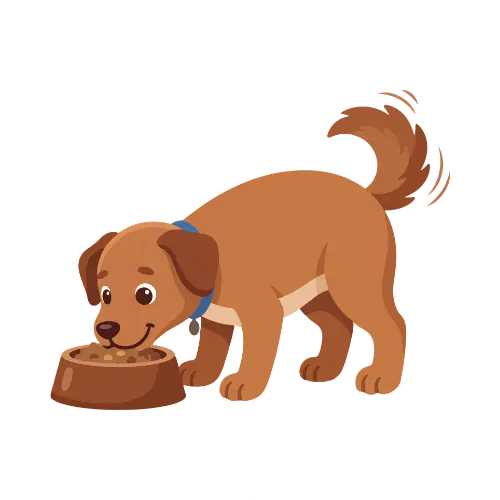 Dog Eating Food
