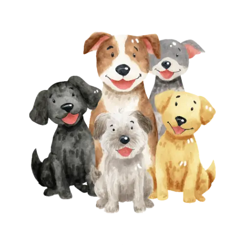 Dogs