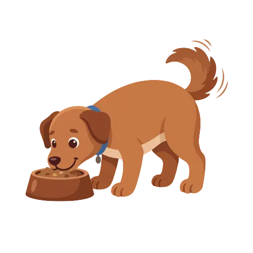 Dog Eating Food